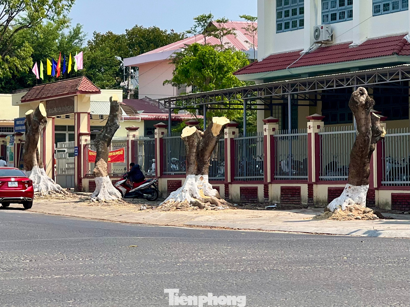 Nhiều phụ huynh, học sinh trường Tiểu học Lê Hồng Phong tiếc nuối vì địa điểm bóng mát nay không còn.