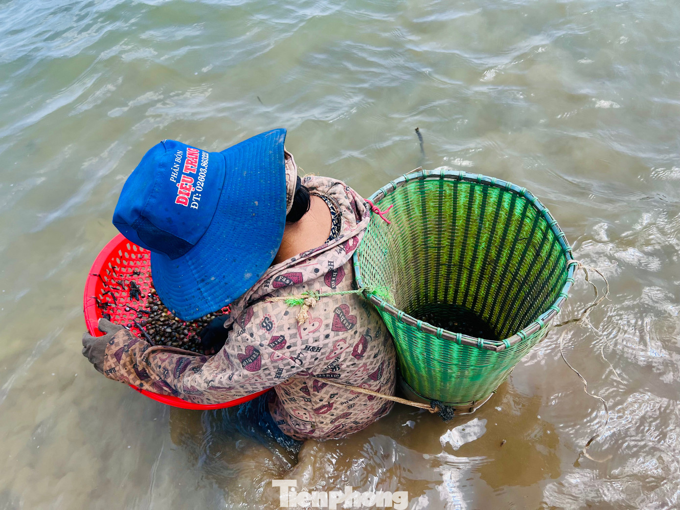 Chỉ cần một cào, cái rổ và một cái gùi (có thể đựng bằng túi lưới, bì xác rắn) là có thể bắt đầu công việc cào, đãi hến.