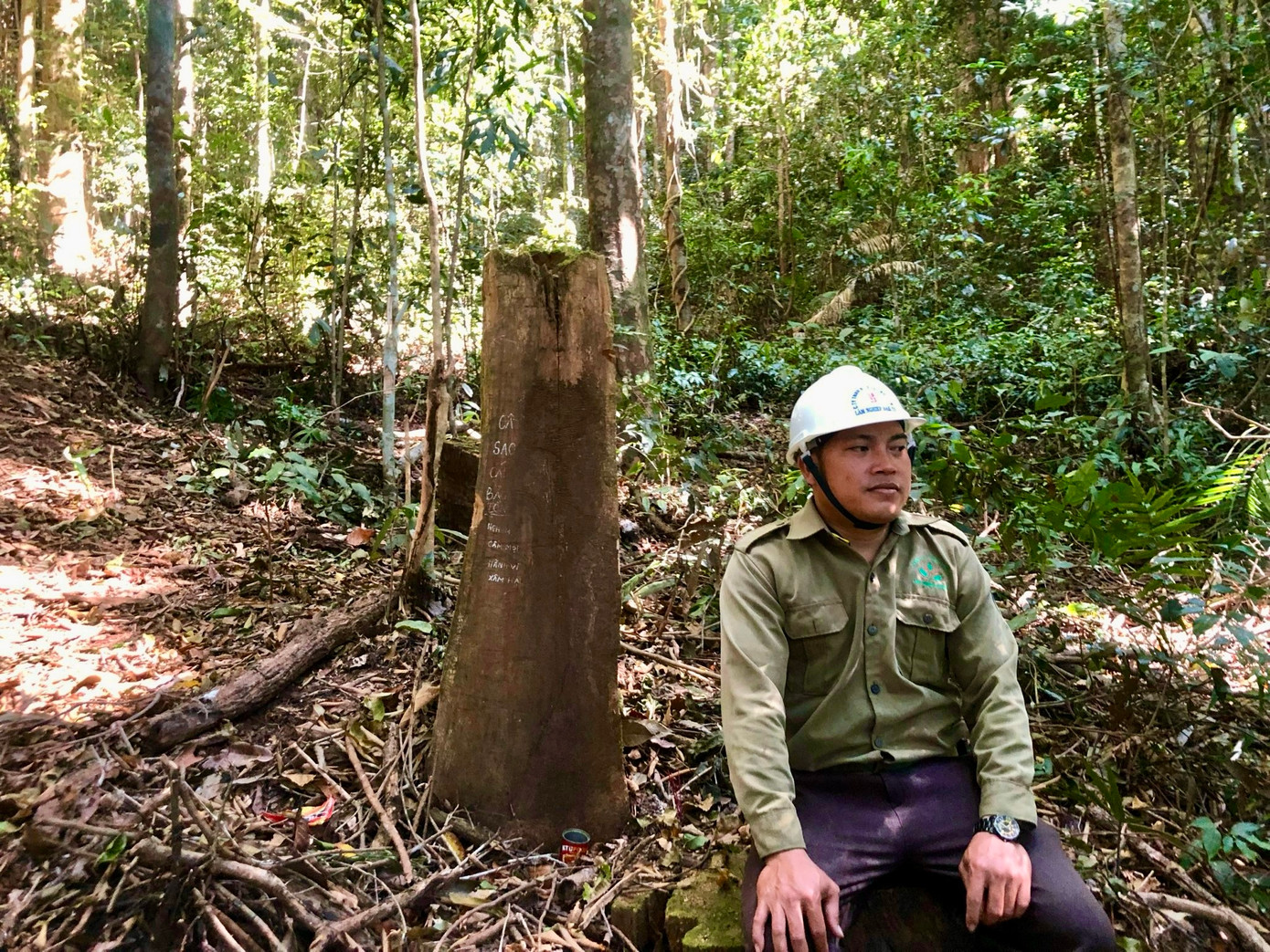 Người dân ở làng Đăk Chờ cho biết, không ai biết cây sao cát có từ khi nào. Chỉ biết rằng, khi lên rừng thường ghé đây thắp hương mong chuyến đi bình an, nhiều may mắn.