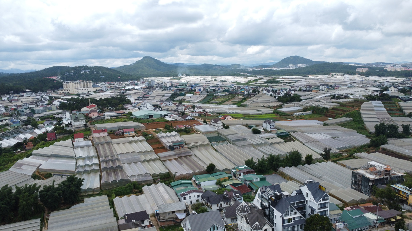 Quy định tách thửa, hợp thửa đất áp dụng cho từng loại đất cụ thể. Ảnh: Thái Lâm