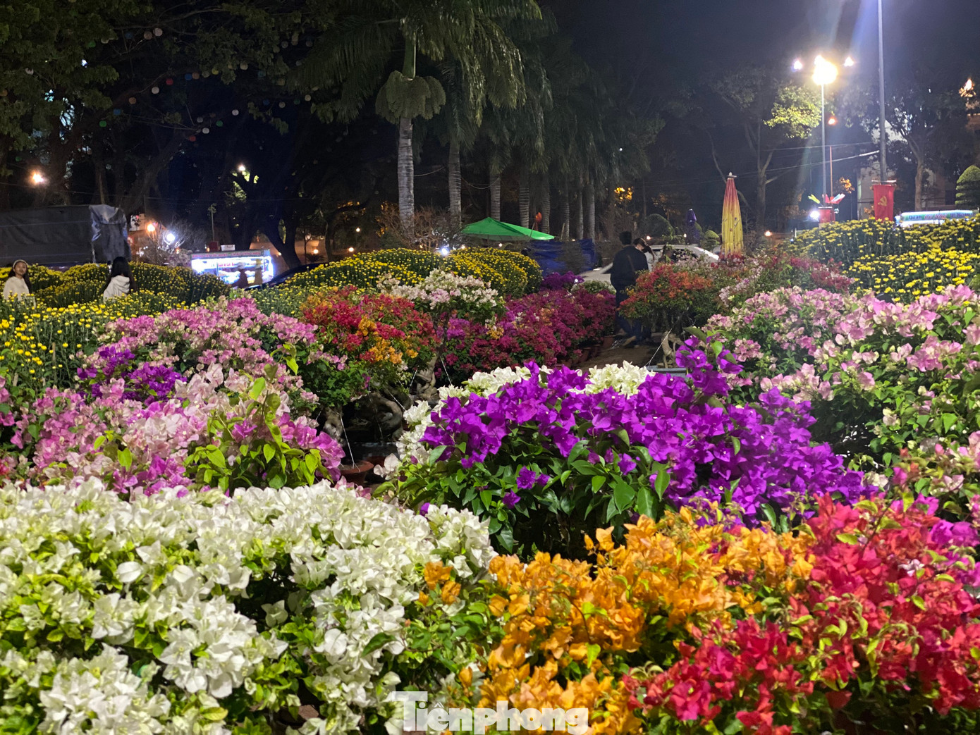 Một gian hàng hoa giấy rực rỡ ban đêm.