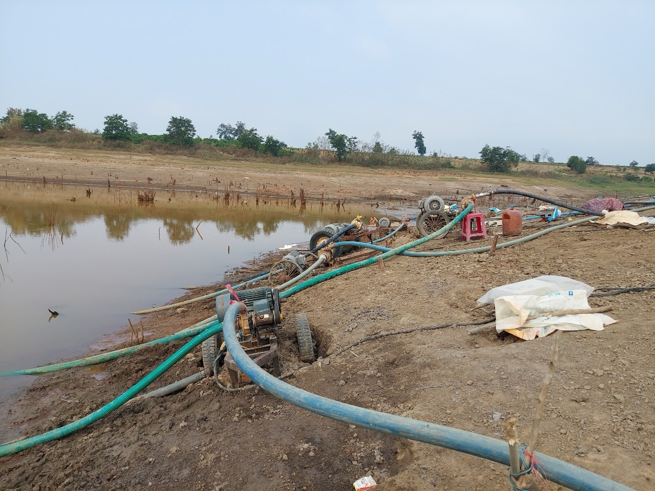 Hàng chục máy bơm tưới của người dân ngày ngày túc trực bên lòng hồ C3. Các hộ phải luân phiên chia ca theo tiếng để bơm nước về vườn cà phê của gia đình.