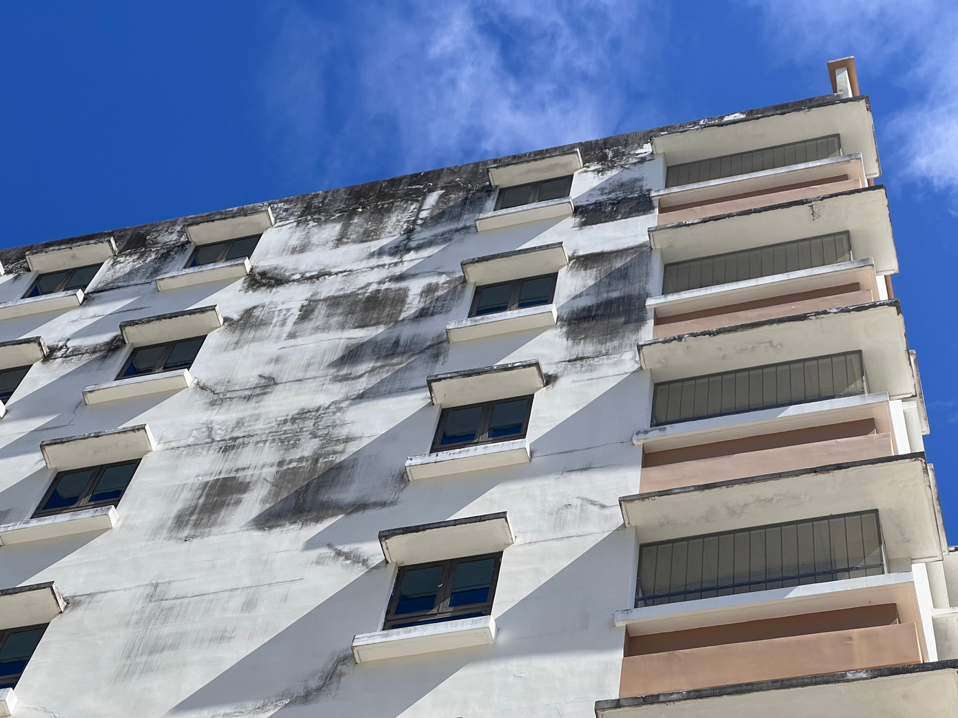 Rêu mốc bám đầy trên các mảng tường.