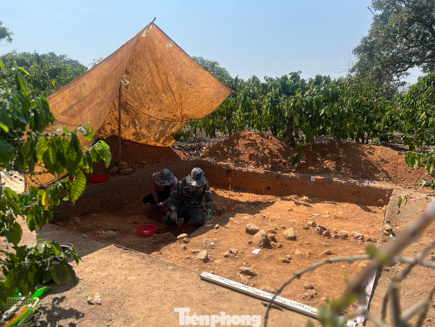 Địa điểm khai quật tại thôn 7, xã Đắk Drô (huyện Krông Nô) được đoàn khảo sát địa chất của Tiến sĩ La Thế Phúc (Hội khảo cổ học Việt Nam) phát hiện từ năm 2022.