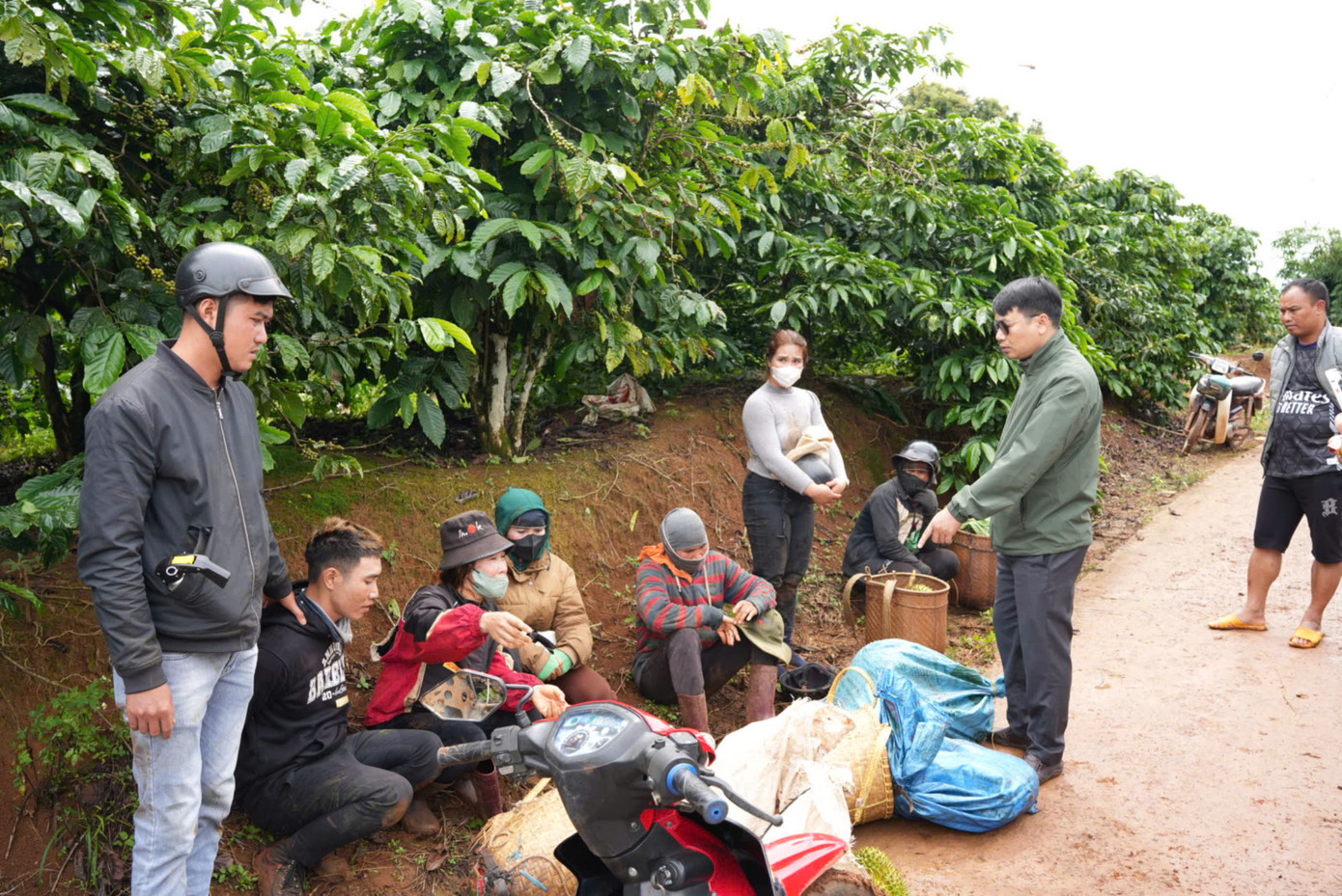 Nhóm 6 người bị bắt khi đang vận chuyển sầu riêng đi tiêu thụ