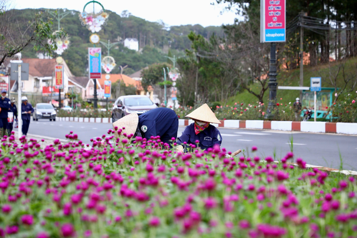 Tại các tuyến đường, công viên khu vực trung tâm thành phố đang được các nhân viên Công ty CP dịch vụ Đô thị Đà Lạt khẩn trương chỉnh trang, trồng mới các loài hoa. Tại các tuyến đường, công viên khu vực trung tâm thành phố đang được các nhân viên Công ty CP dịch vụ Đô thị Đà Lạt khẩn trương chỉnh trang, trồng mới các loài hoa.