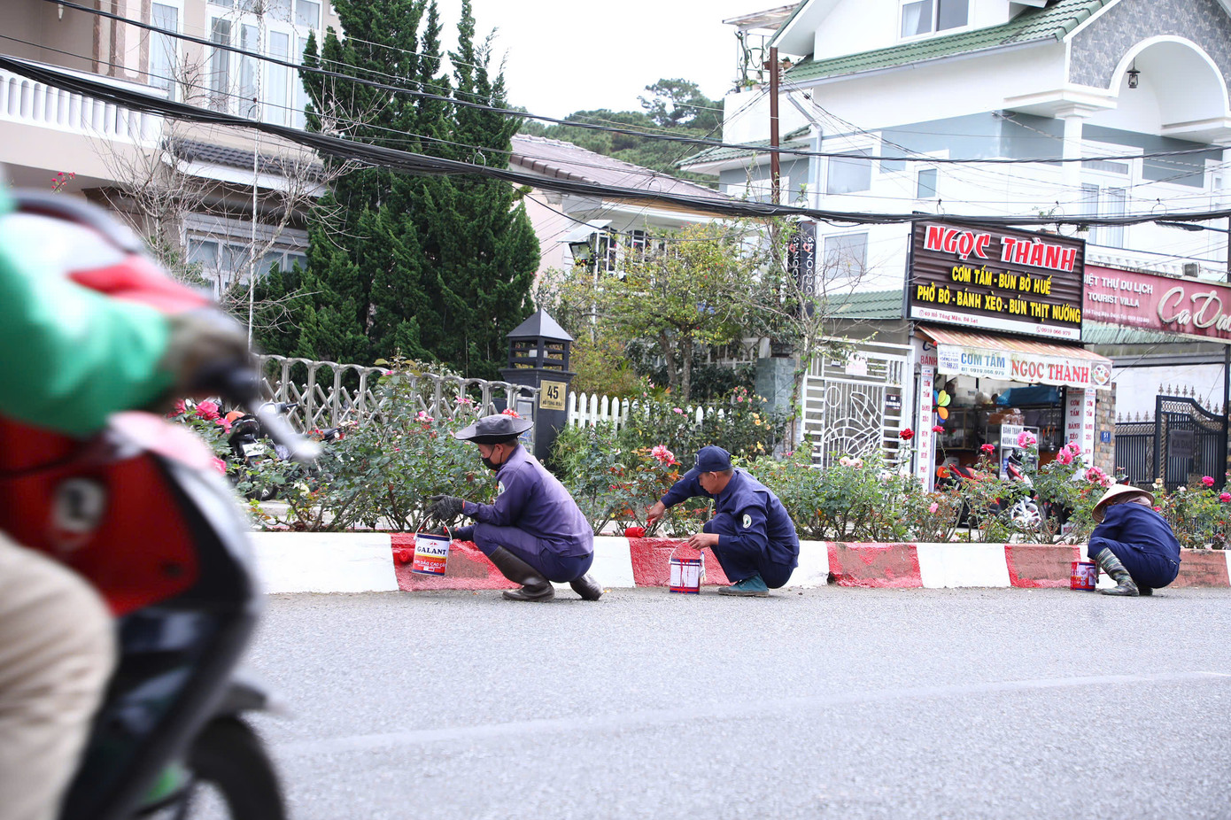 Tại các tuyến đường, công viên khu vực trung tâm thành phố đang được các nhân viên Công ty CP dịch vụ Đô thị Đà Lạt khẩn trương chỉnh trang, trồng mới các loài hoa. Tại các tuyến đường, công viên khu vực trung tâm thành phố đang được các nhân viên Công ty CP dịch vụ Đô thị Đà Lạt khẩn trương chỉnh trang, trồng mới các loài hoa.
