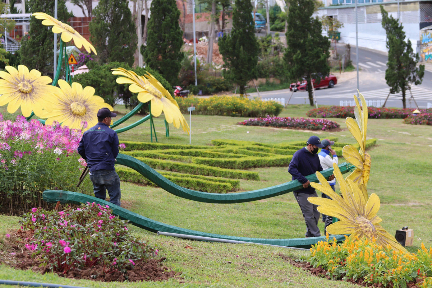 Tại các tuyến đường, công viên khu vực trung tâm thành phố đang được các nhân viên Công ty CP dịch vụ Đô thị Đà Lạt khẩn trương chỉnh trang, trồng mới các loài hoa. Tại các tuyến đường, công viên khu vực trung tâm thành phố đang được các nhân viên Công ty CP dịch vụ Đô thị Đà Lạt khẩn trương chỉnh trang, trồng mới các loài hoa.