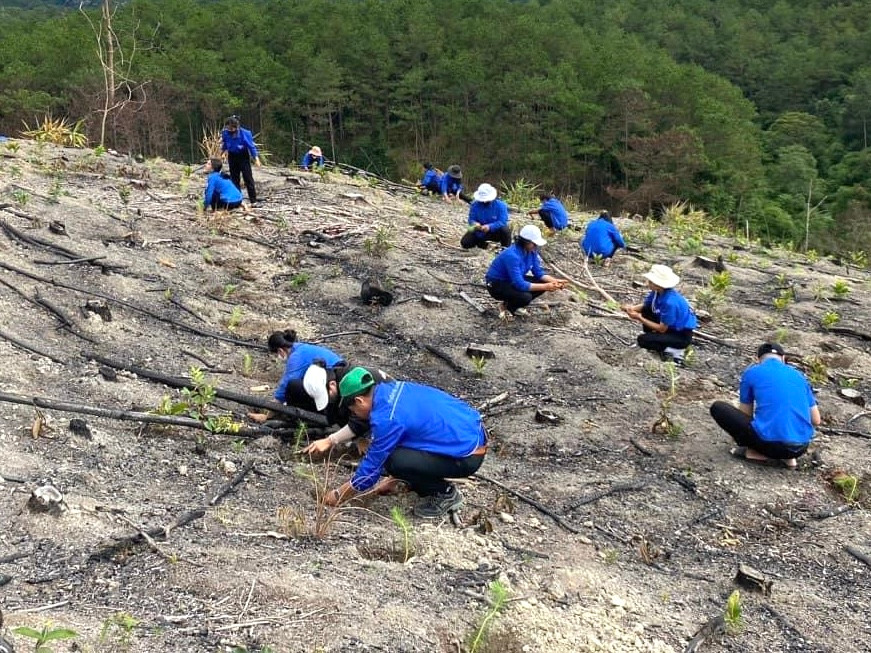 Hơn 45.000 đoàn viên thanh niên tình nguyện tham gia chiến dịch Hơn 45.000 đoàn viên thanh niên tình nguyện tham gia chiến dịch