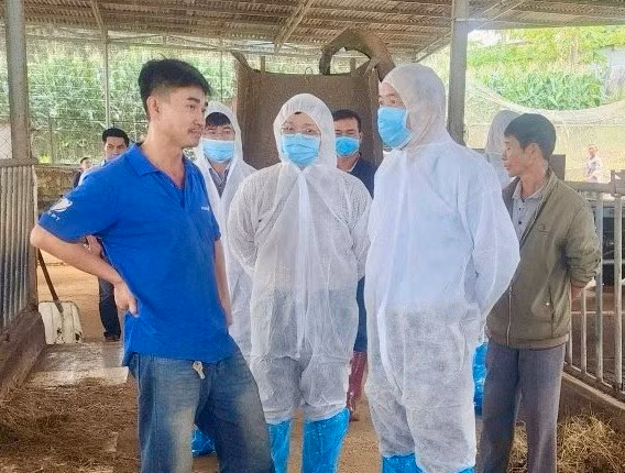 Thứ trưởng Bộ NN&amp;PTNT Phùng Đức Tiến (người mang đồ bảo hộ, bên phải) đi kiểm tra thực trạng bò sữa chết ở Lâm Đồng