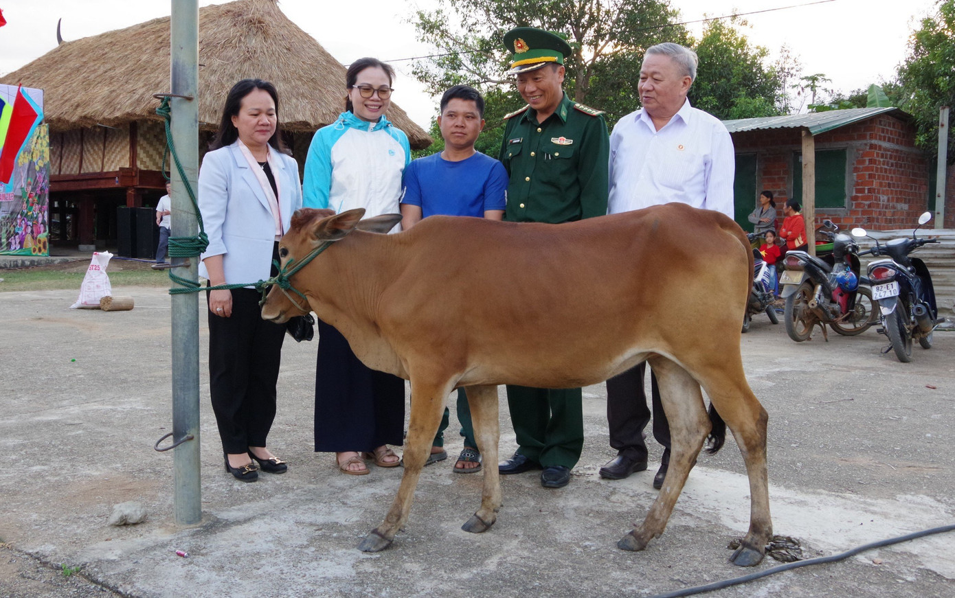 Người dân phấn khởi nhận bò giống sinh sản.