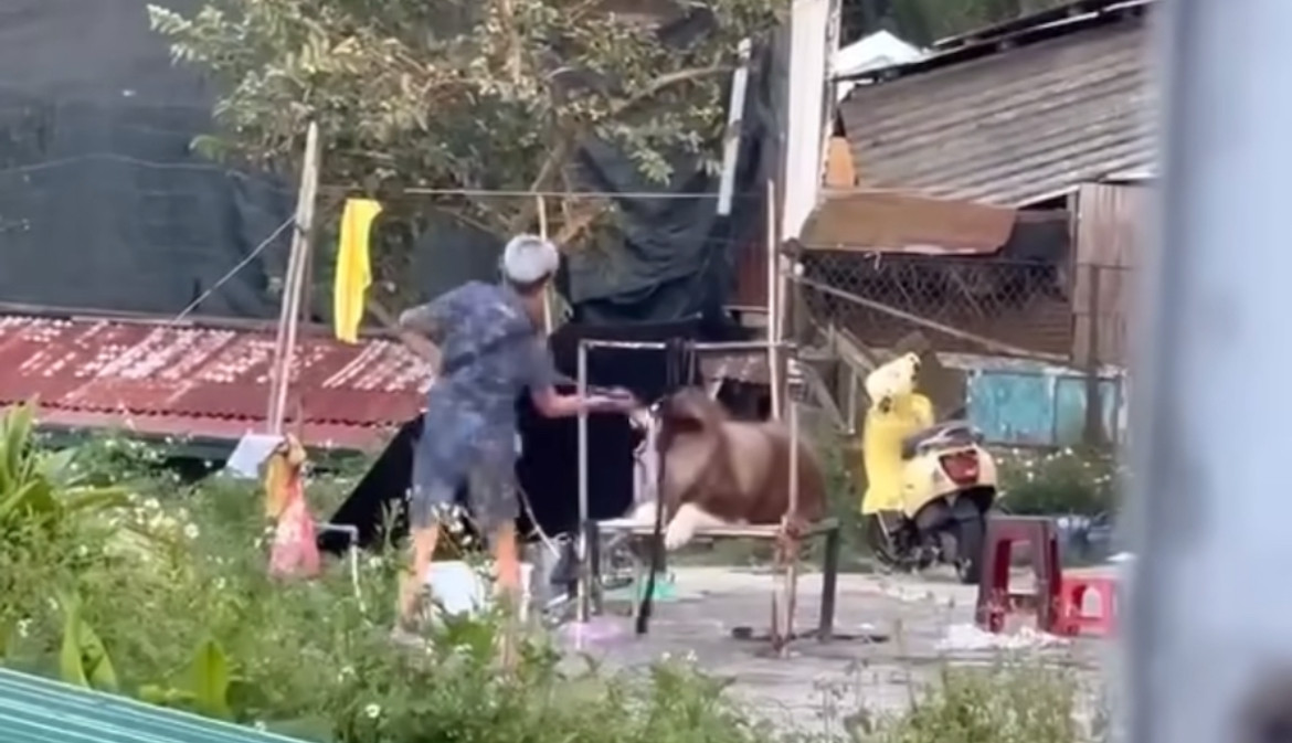 Ảnh cắt từ clip Ảnh cắt từ clip