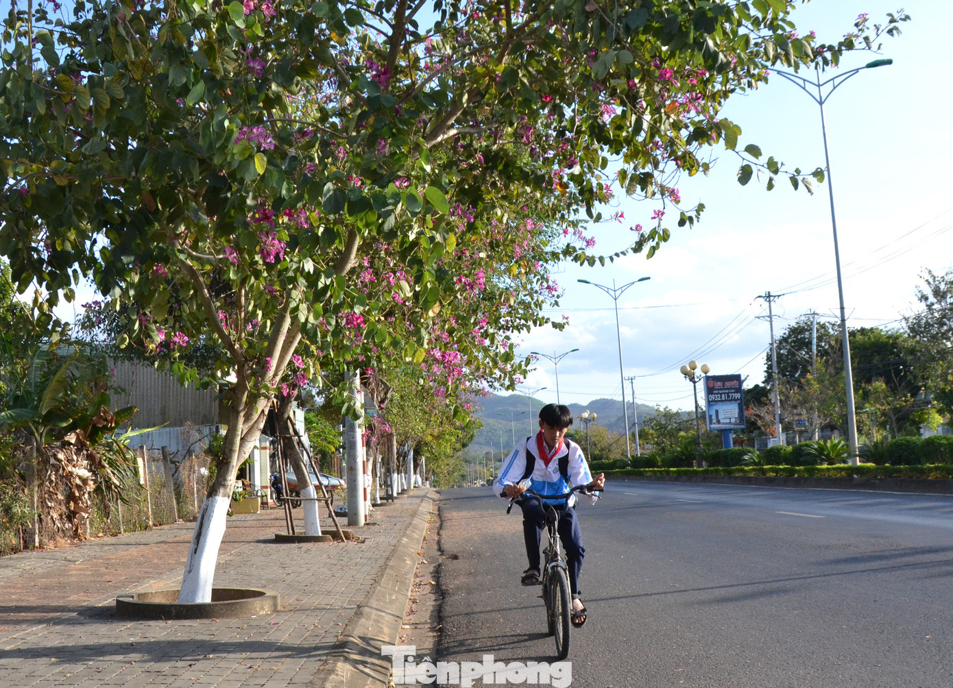 Chiều chiều các em học sinh về nhà trên con đường rực sắc hoa.