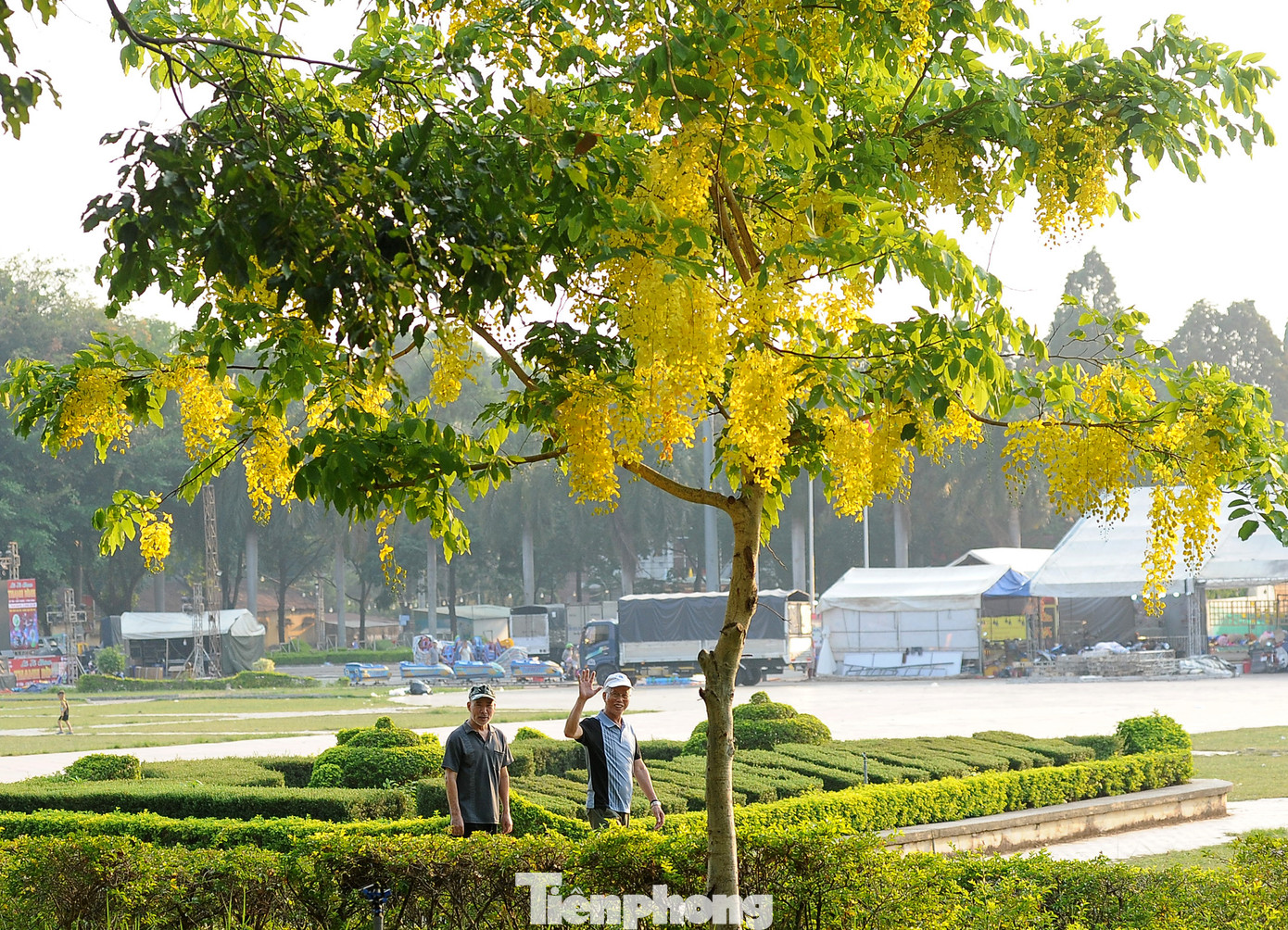 Hàng ngày, hai ông Nguyễn Đăng Thời và ông Tô Đình Dung (trú phường Duy Tân) đi tập thể dục ngang qua thấy vẻ đẹp hoa đều ghé đến chiêm ngưỡng
