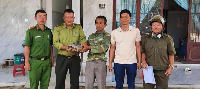 Người dân bàn giao cá thể rùa cho Hạt kiểm lâm.