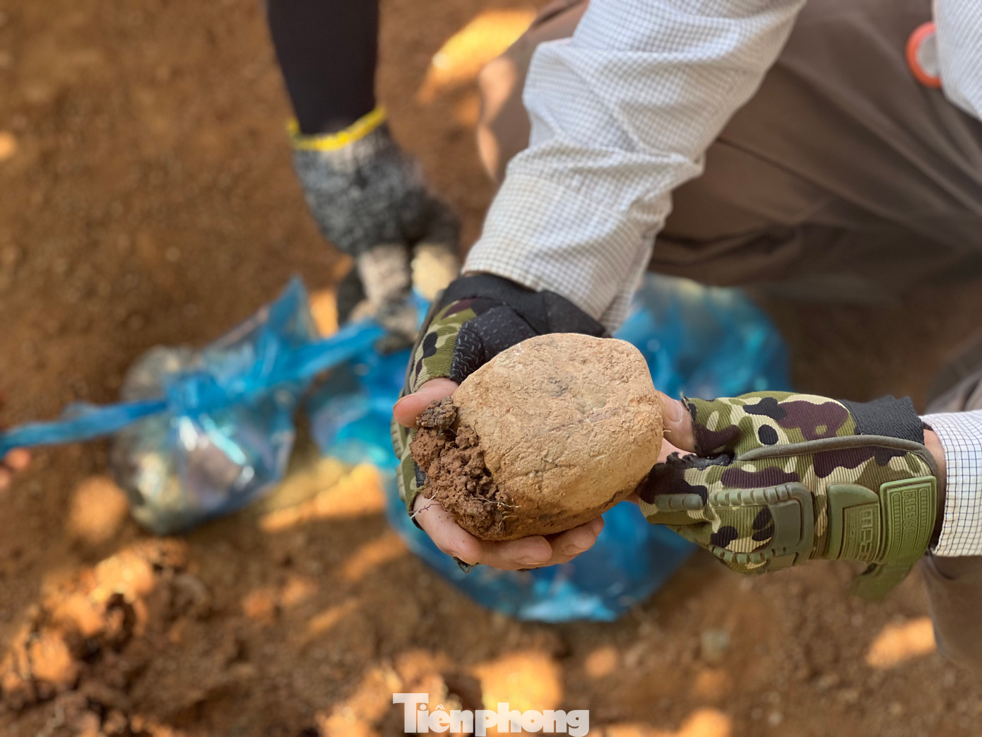 Theo Tiến sĩ La Thế Phúc, qua các hiện vật được phát hiện, địa điểm có thể là di tích lâu đời nhất tỉnh Đắk Nông.