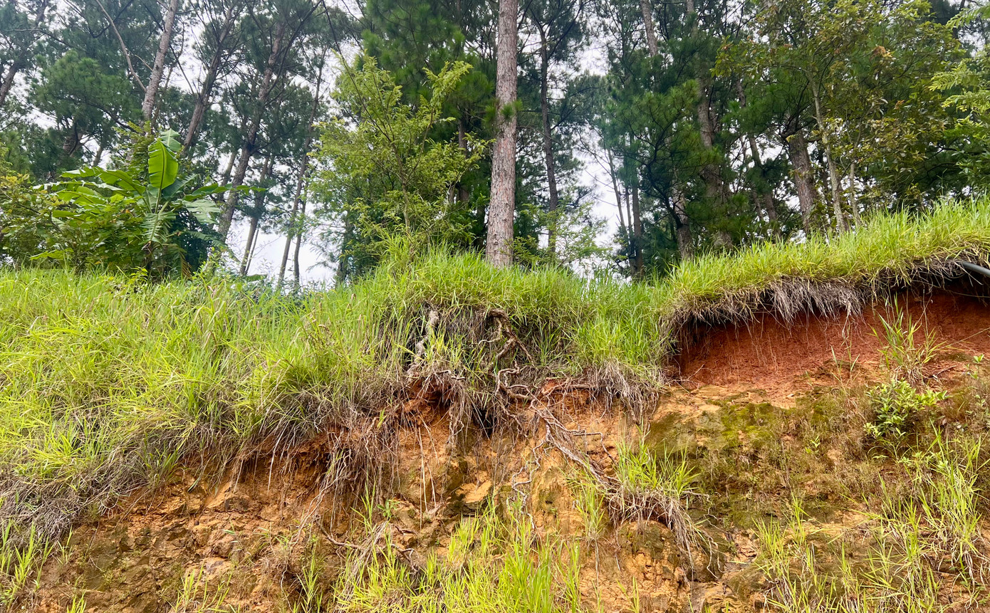 Ghi nhận tại điểm có nguy cơ sạt lở ở thôn Bắc Hội, một phần đất khu rừng sản xuất đã bị sạt lở; nhiều gốc thông bị nước mưa làm rõ bộ rễ và có thể ngã đổ bất cứ lúc nào.