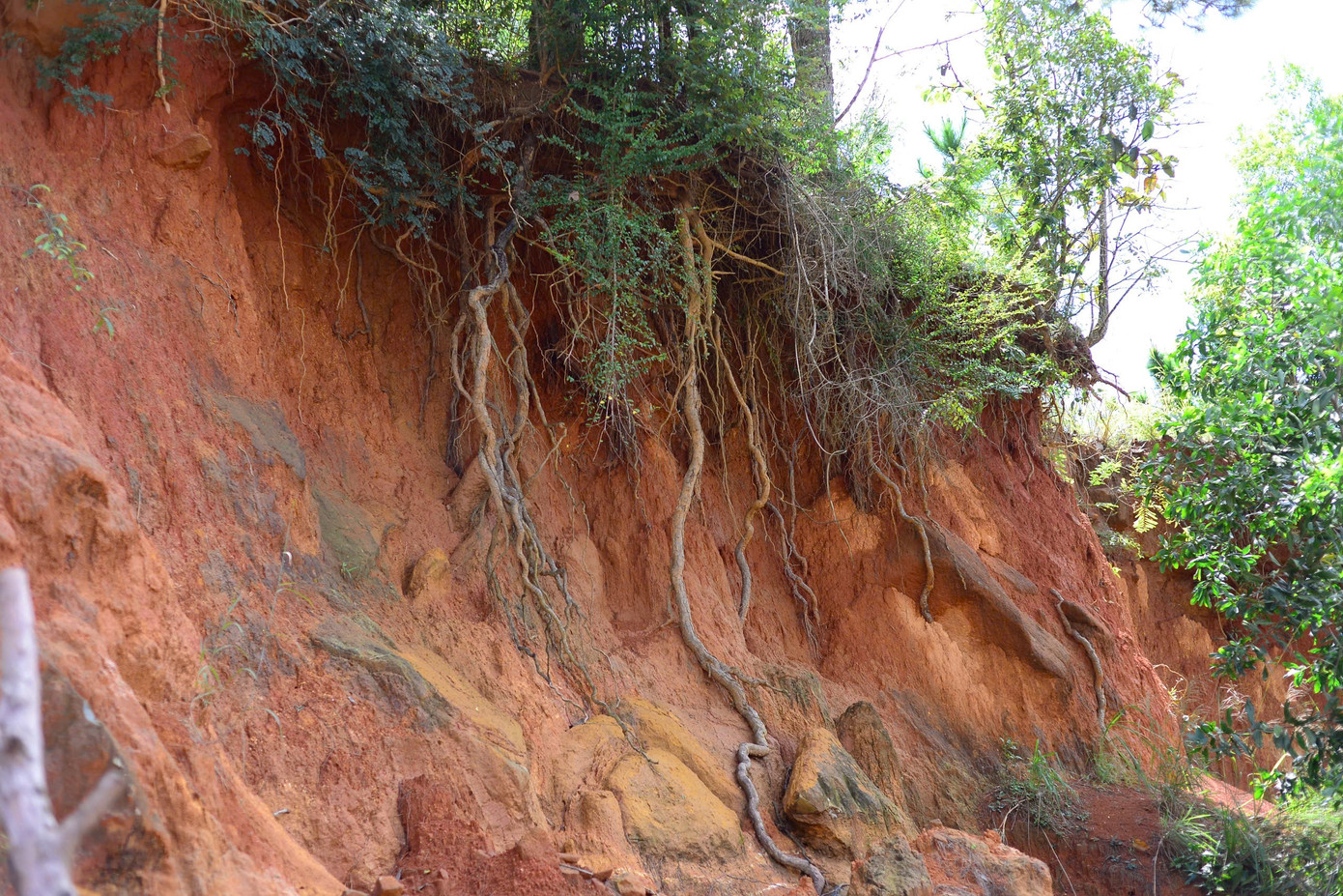 Anh Vũ Xuân Trường (42 tuổi) - hộ dân sống ở thôn Quảng Hiệp cho biết, đồi thông sau nhà do Ban Quản lý rừng phòng hộ Đại Ninh quản lý, vết nứt cách nhà dân từ 30-100m đường chim bay. Mưa kéo dài, các hộ dân rất lo lắng, thấp thỏm nhưng không biết đi đâu.