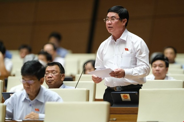 Ông Trần Đình Văn. Ông Trần Đình Văn.