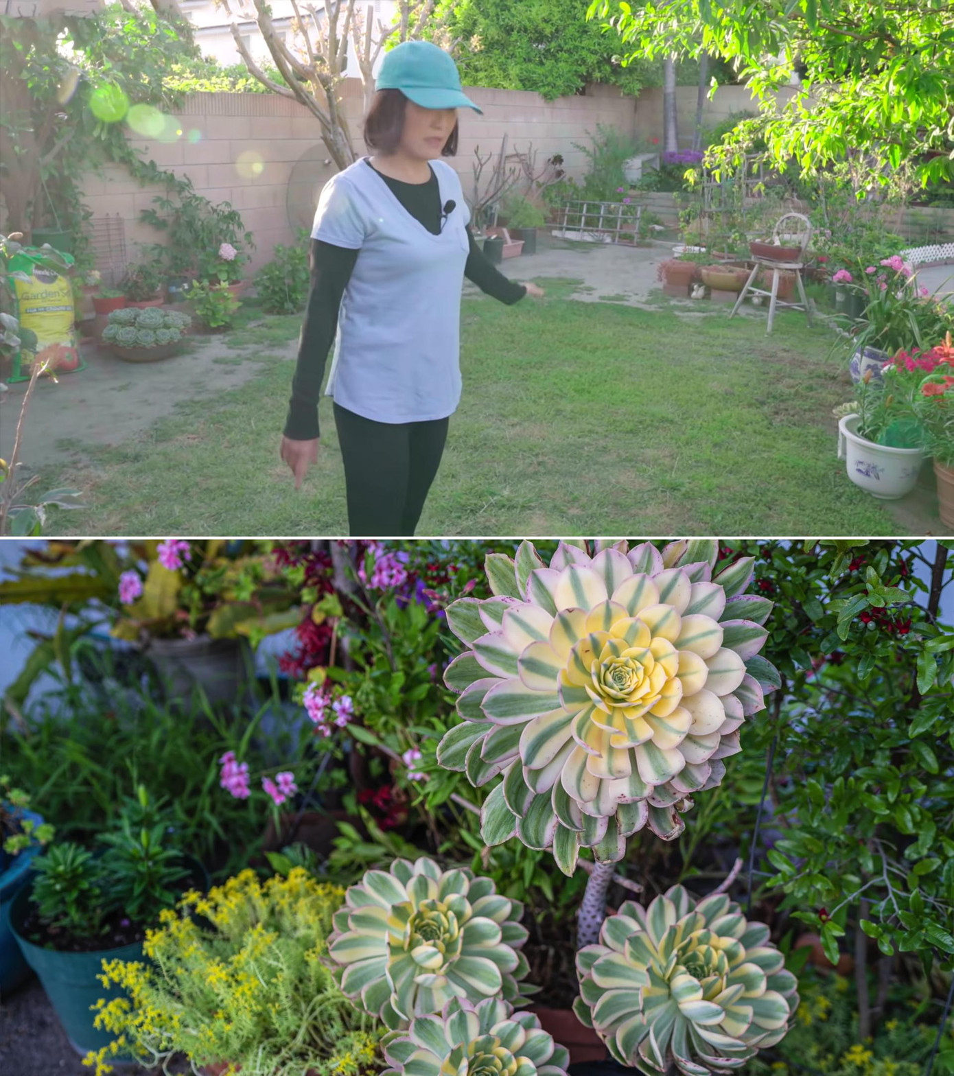 Bên cạnh hoa, khu vườn còn có nhiều chậu bonsai nhỏ. Theo tiết lộ của Hồng Đào, chị trồng những chậu cây này từ lúc mới sang Mỹ định cư cách đây gần 30 năm. Đặc biệt, nữ nghệ sĩ dành một góc ở phía sau nhà để vừa trồng tre, vừa trồng hoa lồng đèn. “Tôi thích cây tre vì nó tượng trưng cho Việt Nam, châu Á. Nhìn vào hai cây này tôi thấy nó xa xưa, đẹp lắm&quot;, chị nói.