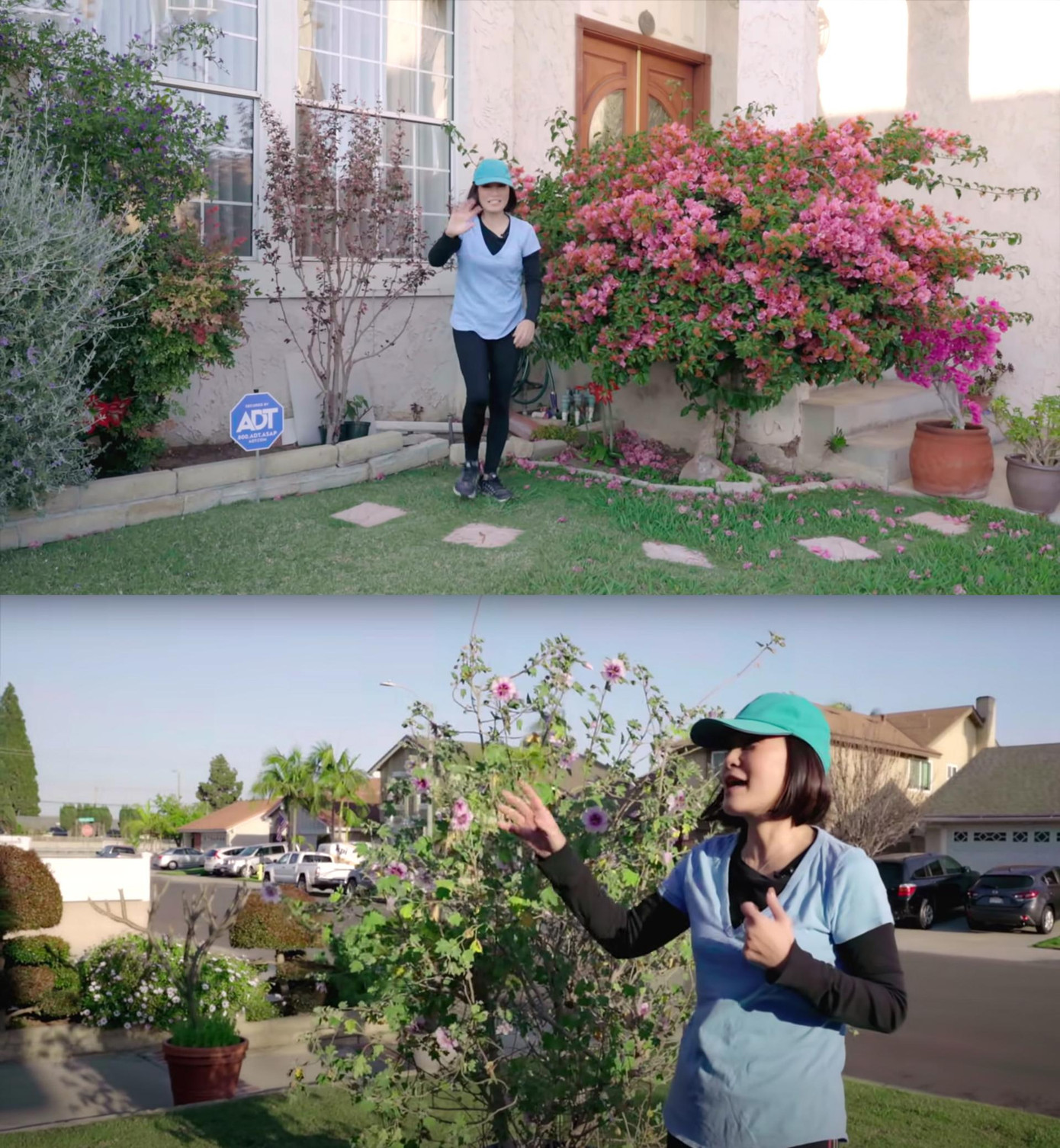 Có thể thấy trong video, sân trước của khu nhà có bãi cỏ xanh mướt cùng nhiều loại hoa như dâm bụt, cúc tím, thiên tuế và cây bon sai.