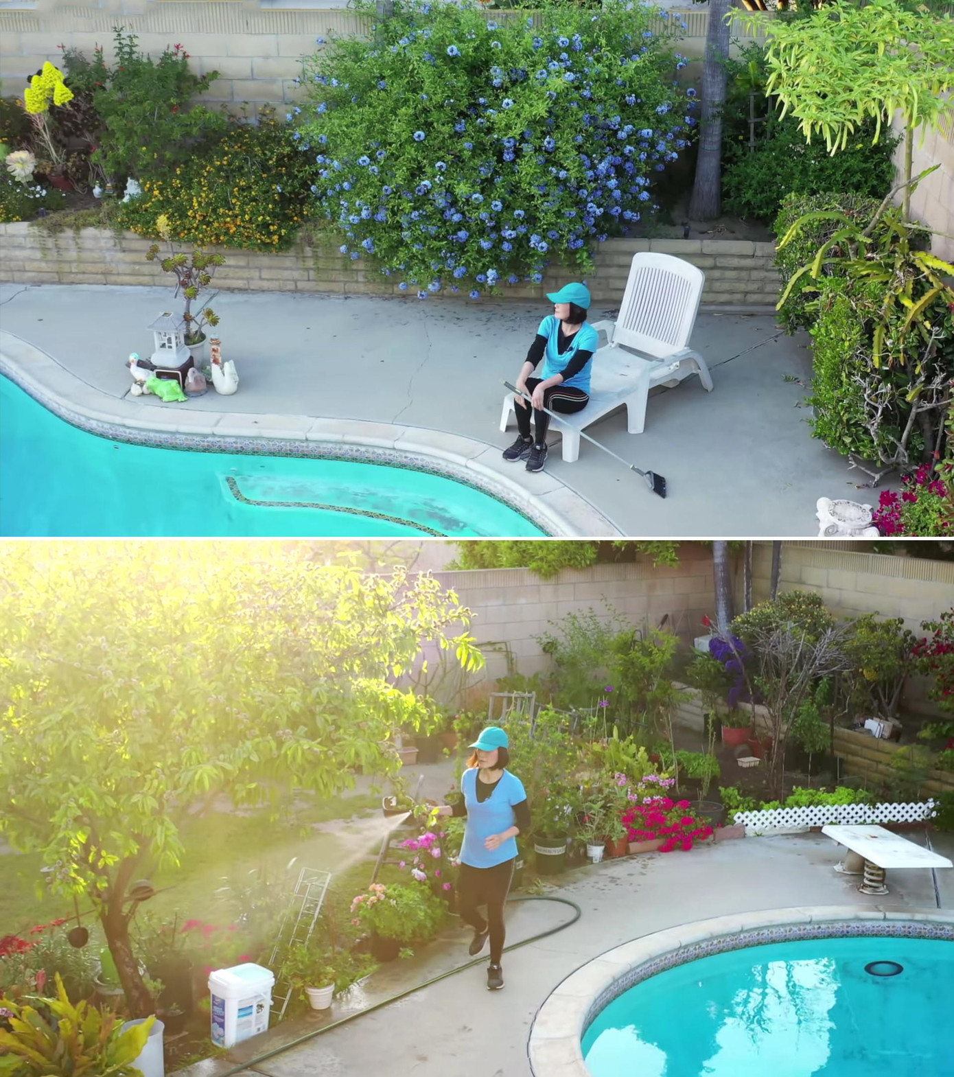 Khu vực phía sau nhà của nữ nghệ sĩ khá rộng lớn. Tại đây chị dành một không gian để làm bể bơi. &quot;Tôi làm bể bơi để bơi mấy tháng mùa hè nhưng cũng ít dùng đến. Hiện tại, cứ tầm 4 giờ sáng là có một bầy vịt trời ở đâu bay tới bơi trong bể này, khiến tôi bất ngờ vô cùng”, chị nói trong video. Ngoài bể bơi, phần lớn diện tích Hồng Đào dùng để trồng cây cảnh và hoa. Khung cảnh các loại hoa như hoa hồng, hoa ly, hoa quỳnh, hoa trà, hoa đào,…cùng đua nhau khoe sắc trong vườn khiến khán giả không khỏi choáng ngợp. Bên cạnh hoa, khu vườn còn có nhiều chậu bonsai nhỏ. Theo tiết lộ của Hồng Đào, chị trồng những chậu cây này từ lúc mới sang Mỹ định cư cách đây gần 30 năm. Đặc biệt, nữ nghệ sĩ dành một góc ở phía sau nhà để vừa trồng tre, vừa trồng hoa lồng đèn. “Tôi thích cây tre vì nó tượng trưng cho Việt Nam, châu Á. Nhìn vào hai cây này tôi thấy nó xa xưa, đẹp lắm&quot;, chị nói. Ngoài ra, Hồng Đào còn trồng xà lách, cà chua và ớt trong khu vườn. &quot;Vườn rau này tôi trồng có một chút thôi nhưng chẳng khác nào nồi cơm Thánh Gióng, giúp tôi ăn nguyên cả một mùa dịch, không cần đi mua rau bên ngoài, càng cắt nó lại càng mọc mạnh&quot;, nữ nghệ sĩ tâm sự. Cũng trong clip, Hồng Đào tiết lộ cô và mẹ ruột là người chủ yếu chăm sóc khu vườn này. Bên cạnh đó chị cho biết bản thân cũng nhận được khá nhiều sự giúp đỡ của bạn bè xung quanh. “Em út, con cháu ở đây rất tốt. Tôi cần gì thì sẽ giúp. Tại vì mình đơn chiếc, tay chân yếu đuối nữa nên cần một cái là các em tới ào ào. Không phải mình Thắng đâu, nhiều đứa tới làm việc xong còn rủ tôi đi ăn nữa. Tôi nghĩ mình làm nghệ sĩ phục vụ khán giả thì mình có được cái lộc đó&quot;, chị tâm sự.