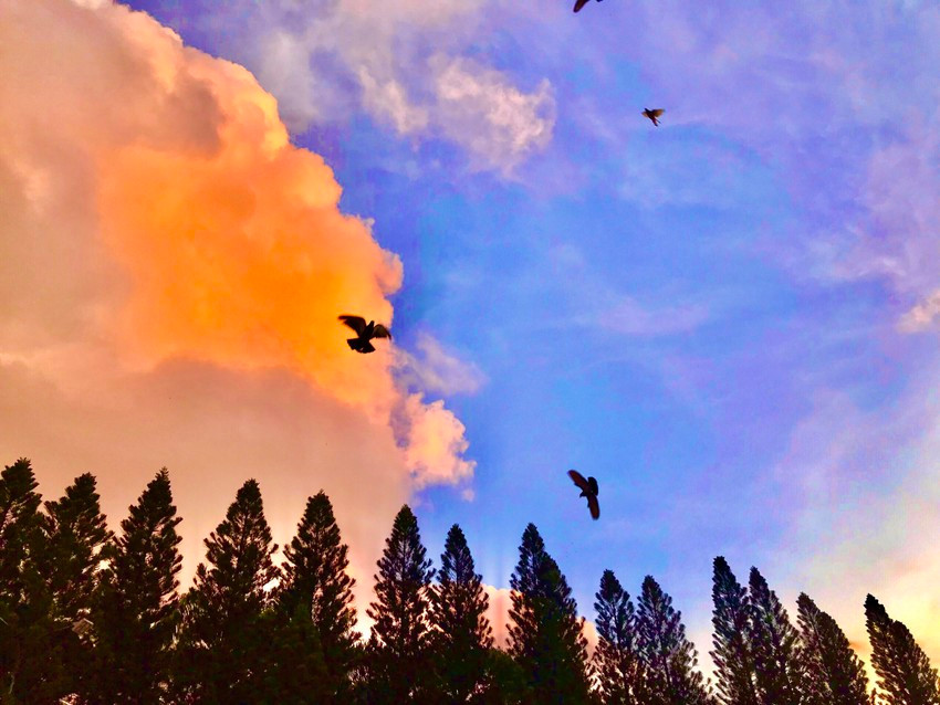 Mây ngũ sắc cũng xuất hiện tại công viên Văn hóa Đầm sen tạo nên không gian thơ mộng. Ảnh: THIỆN HỢP.