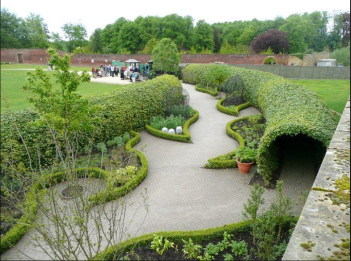 Khu vườn Alnwick có tới hơn 100 loại cây độc. (Ảnh: CNN).