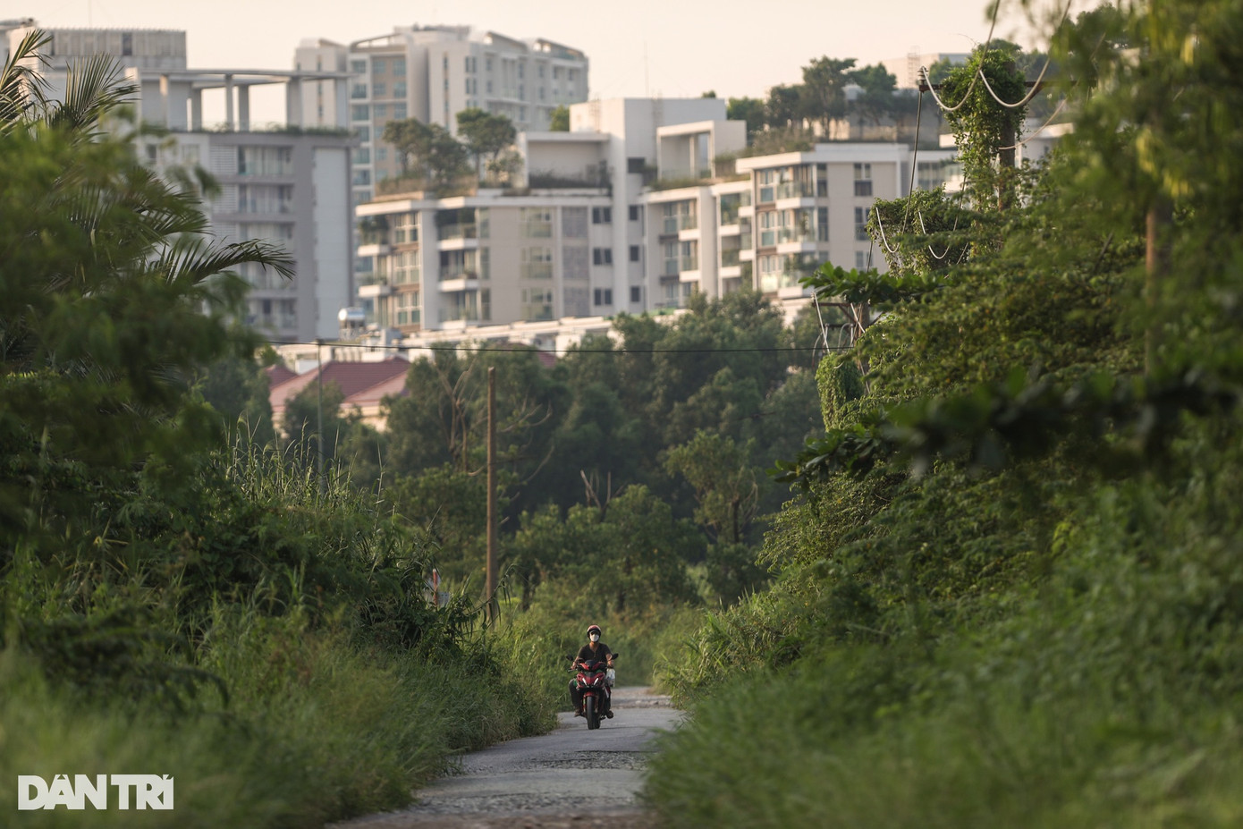Những con đường nhỏ xuyên qua khu lâm viên nhiều cây bụi, không khí trong lành, sát bên là khu đô thị Sala sầm uất.