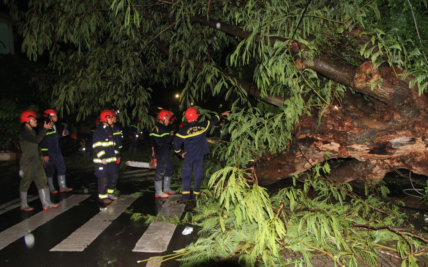 Cây xanh cỡ lớn bật gốc trong cơn mưa tại TP Đồng Xoài (Ảnh: V.T.). Cây xanh cỡ lớn bật gốc trong cơn mưa tại TP Đồng Xoài (Ảnh: V.T.).