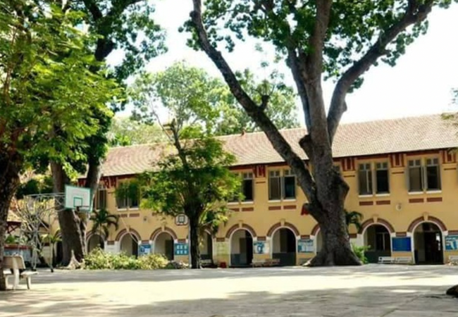 Góc sân trường nơi có những "cụ cây". Ảnh: Thanh Huyền. Góc sân trường nơi có những "cụ cây". Ảnh: Thanh Huyền.