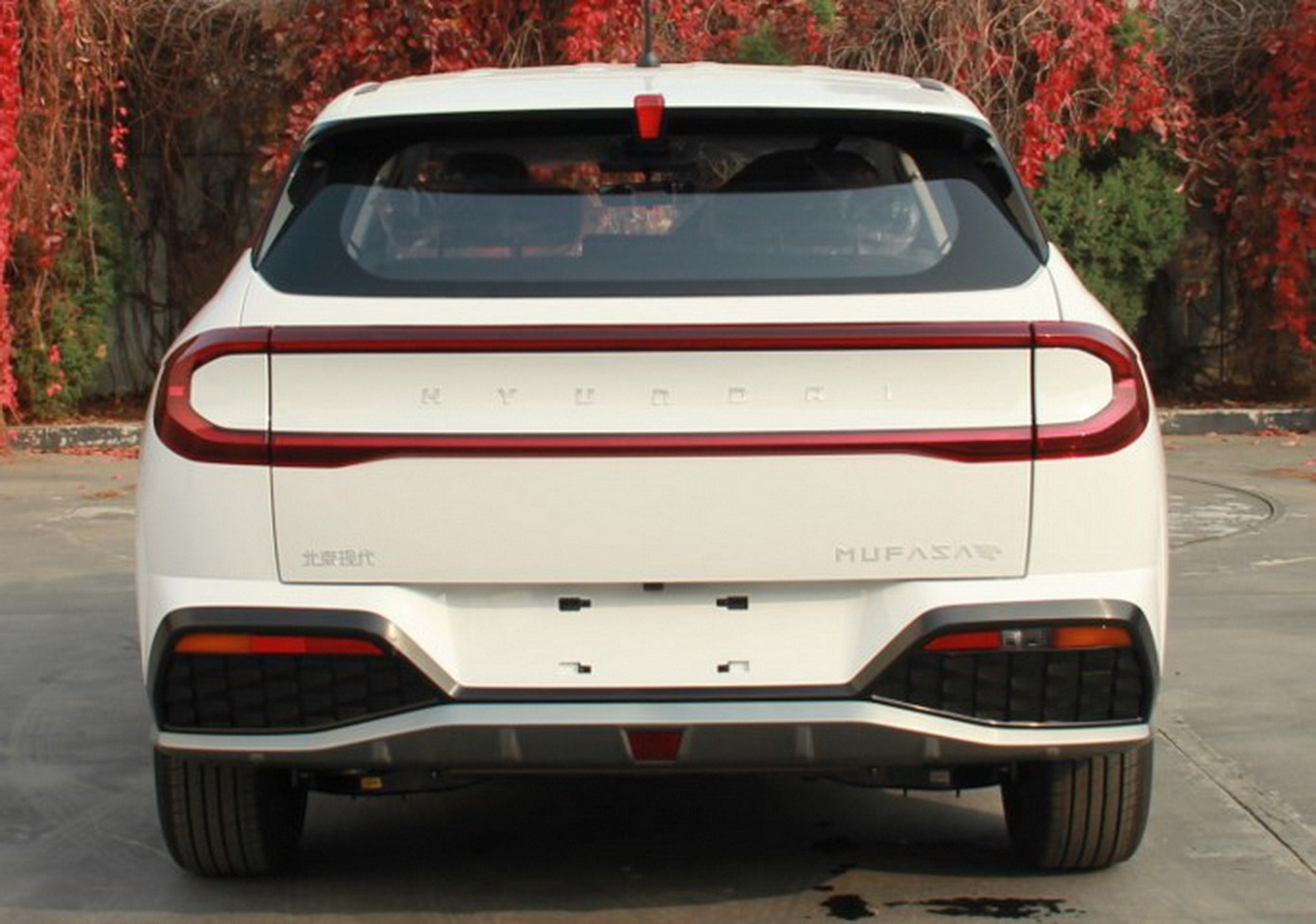 Hyundai Mufasa 2024.