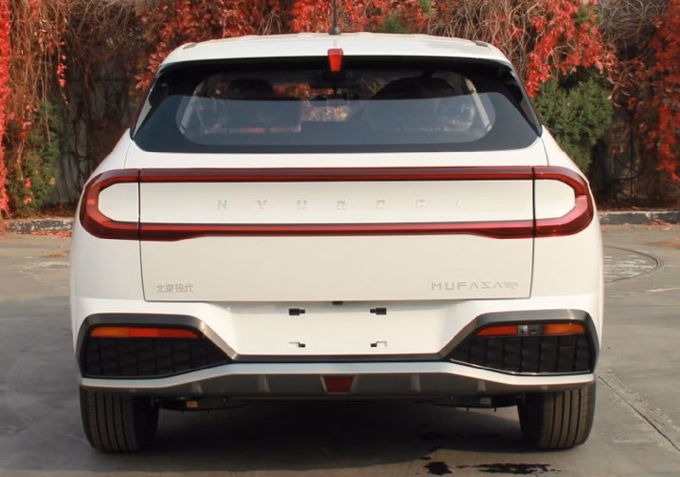 Hyundai Mufasa 2024.