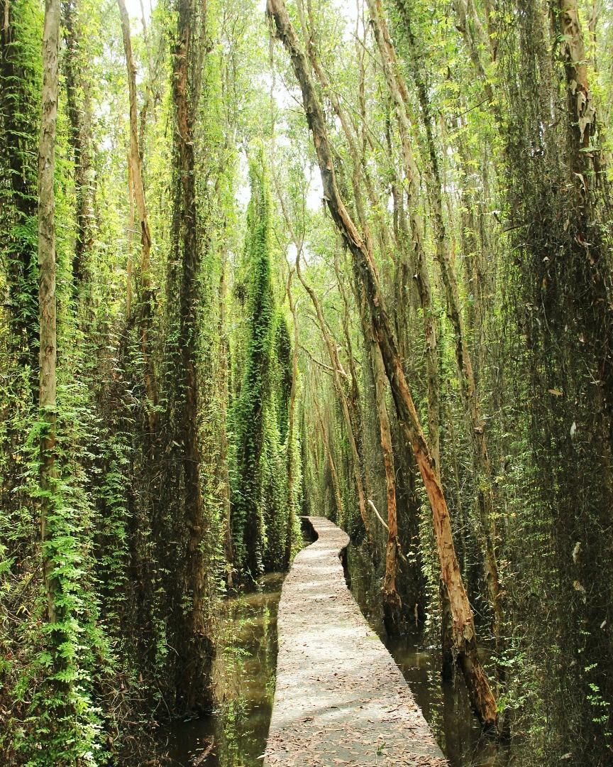 Ảnh: Thamhiemmekong. Ảnh: Thamhiemmekong.