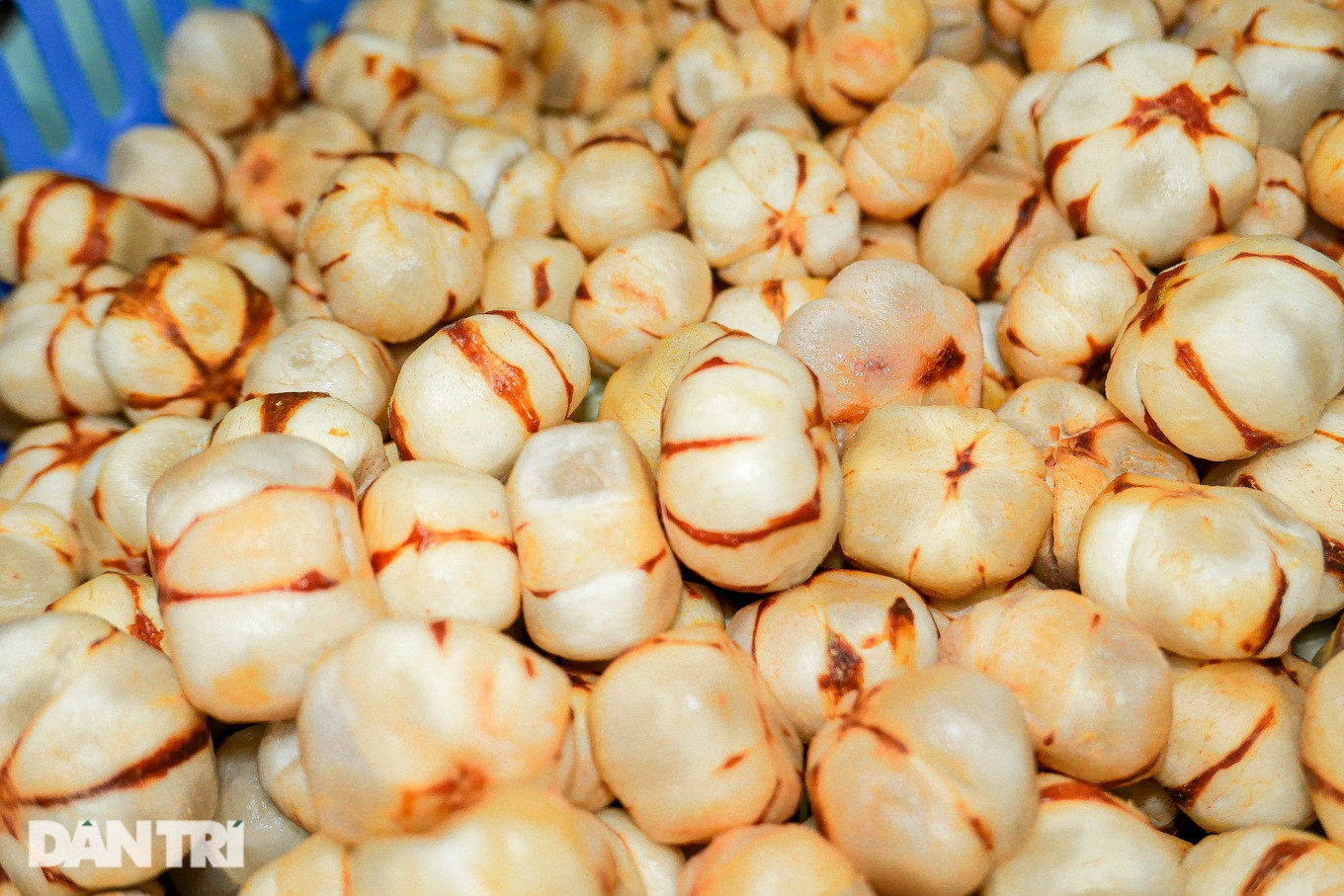 Mỗi năm mùa măng cụt xanh chỉ kéo dài khoảng một tháng. Năm nay loại quả này được bán với giá cao. Mỗi kg măng cụt xanh đã sơ chế vỏ có giá lên tới 550.000-650.000 đồng/kg.