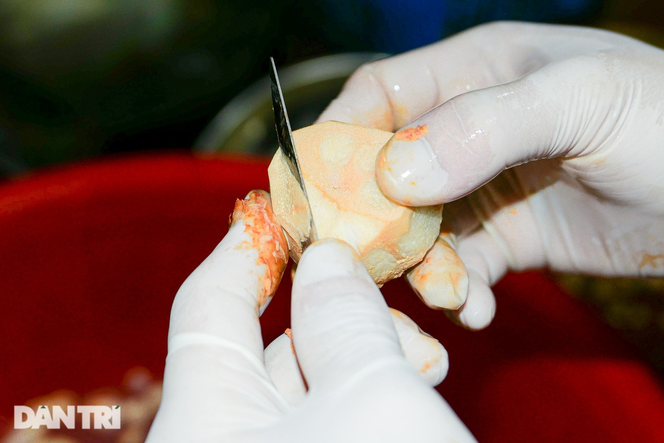 Việc gọt bỏ vỏ măng cụt rất mất thời gian. Ngay sau khi gọt, nhân viên phải thả ruột măng cụt vào chậu nước pha chanh, muối loãng nhằm giữ màu trắng, giảm độ chát.