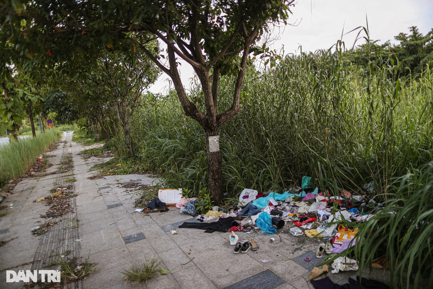 Tuy nhiên, dọc các tuyến đường chính đi xuyên qua khu lâm viên vẫn xuất hiện nhiều hố rác tự phát, gây mất mỹ quan đô thị và ảnh hưởng tới sinh thái môi trường.