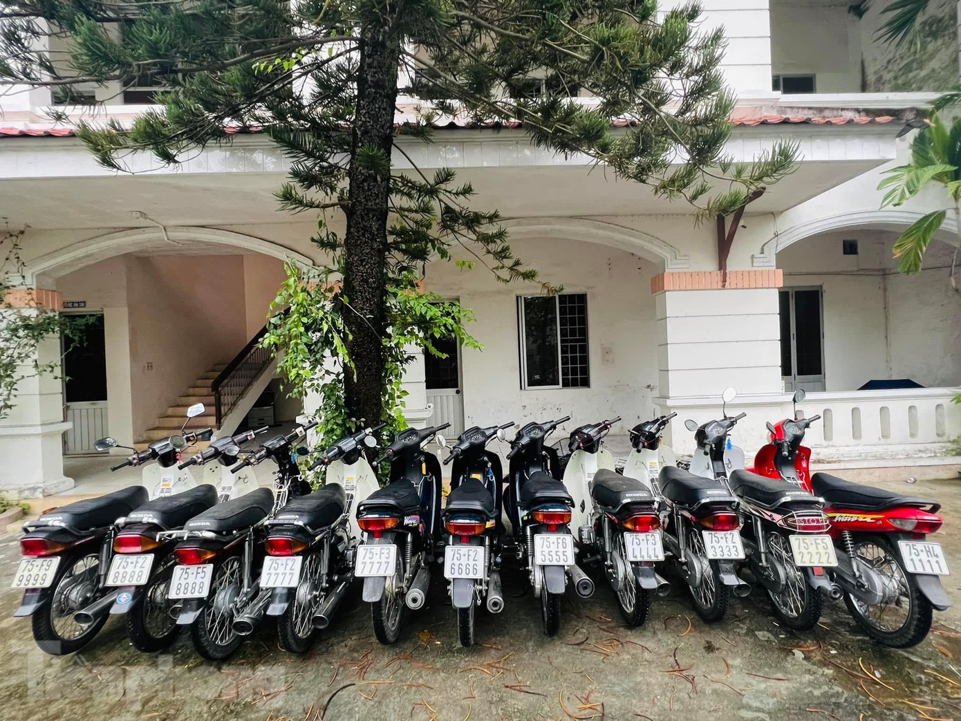 Săn biển tứ quý từ 1 đến 9 là điều hiếm người làm được. Săn biển tứ quý từ 1 đến 9 là điều hiếm người làm được.