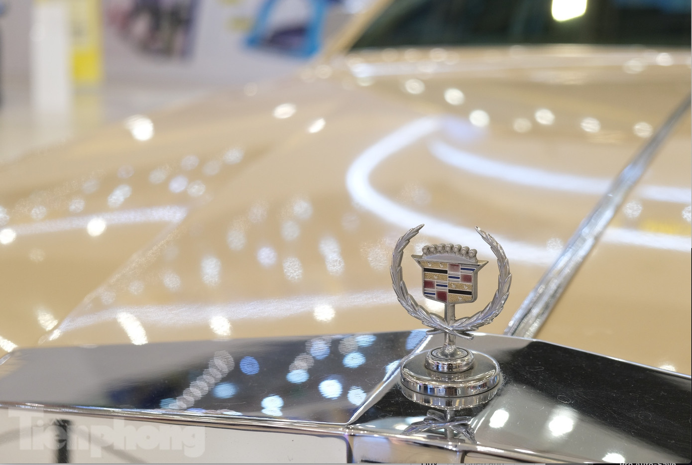 Cả ba mẫu xe đời cổ đều vẫn được giữ tình trạng nguyên bản, luôn được người chủ cũ chăm chút rất cẩn thận. Dù đơn vị sở hữu hiện tại đang sử dụng chúng để phục vụ hoạt động trưng bày, những chiếc xe này vẫn có thể được sang nhượng trong tương lai nếu có nhà sưu tầm nào có ý săn đón. Tuy nhiên, mức giá của chúng dự kiến sẽ rất đắt đỏ.