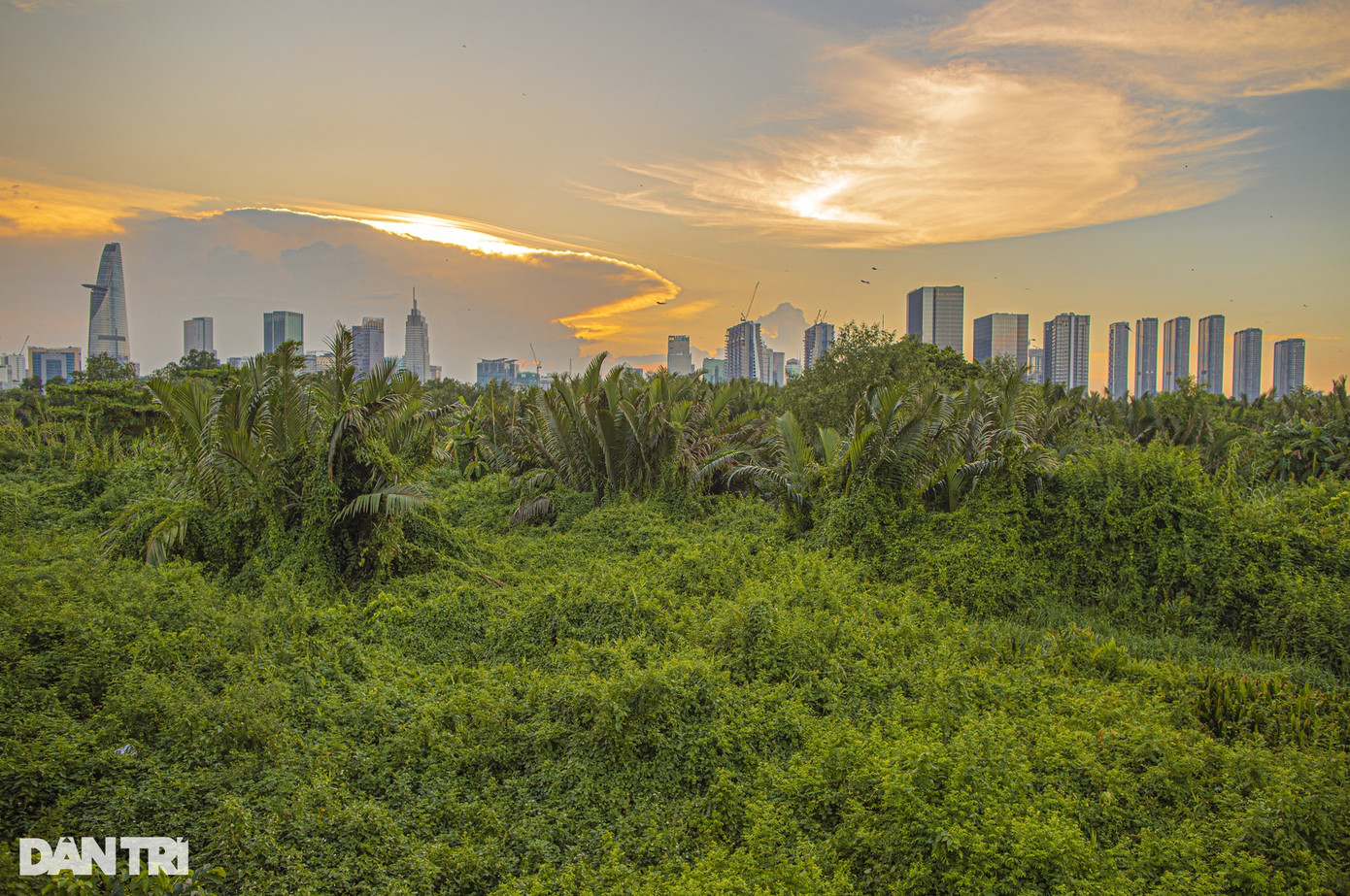 Khu Lâm viên này nằm bên bờ sông Sài Gòn, ngay cạnh trung tâm TPHCM, chủ yếu là rừng ngập nước, đầm lầy, với hệ sinh thái được tạo thành bởi các loại cây bụi rậm, dừa nước, lau sậy.