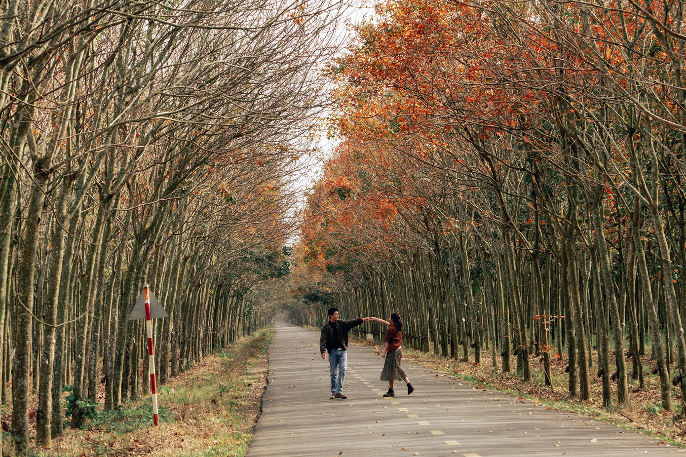 Ngoài ra, theo anh Phát, rừng cao su rộng, vắng vẻ nên du khách cần lưu ý về nạn cướp giật khi đi một mình, đặc biệt là phụ nữ. Bạn nên đi theo đoàn, cố gắng về trước khi trời tối do quãng đường di chuyển không có nhiều đèn đường.