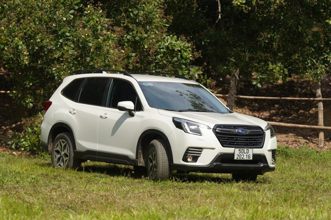 Các mẫu xe nhập khẩu từ Thái Lan đang cố gắng thu hút khách hàng Việt. Các mẫu xe nhập khẩu từ Thái Lan đang cố gắng thu hút khách hàng Việt.