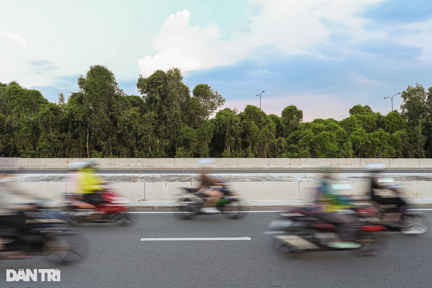 Thảm thực vật tự nhiên phát triển mạnh dọc tuyến đường Mai Chí Thọ giúp không khí ở đây trở nên mát mẻ, trong lành hơn.