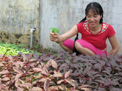 Chị Mến chăm sóc vườn rau. Chị Mến chăm sóc vườn rau