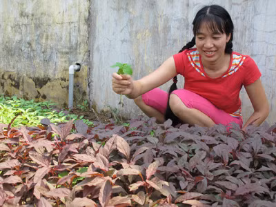 Chị Mến chăm sóc vườn rau. Chị Mến chăm sóc vườn rau