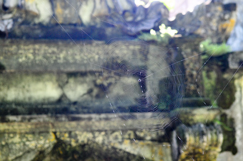 Chỉ tiếc là rất nhiều vẻ hay nét quý của làng Cựu bao năm qua vẫn cứ quanh quẩn như thế giữa lá khô mục và rêu xanh