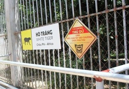 Cô gái kể lại giây phút kinh hãi bị hổ vồ đứt cánh tay ảnh 3