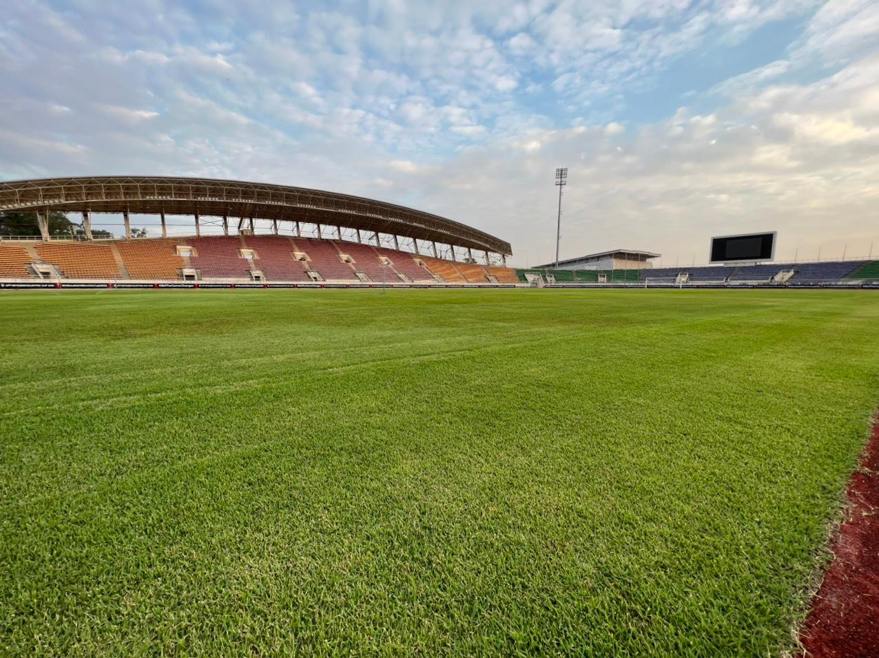 Mặt cỏ sân được bảo dưỡng khá tốt