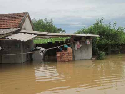 Nhiều nơi ước ngập đến tận mái nhà