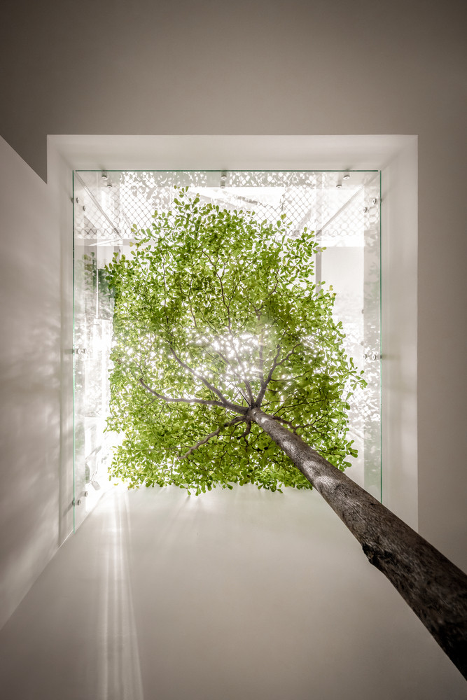 Để đáp ứng yêu cầu của gia chủ, một khoảng trống lớn được đặt ở giữa nhà làm ống thông gió cho tất cả các không gian.